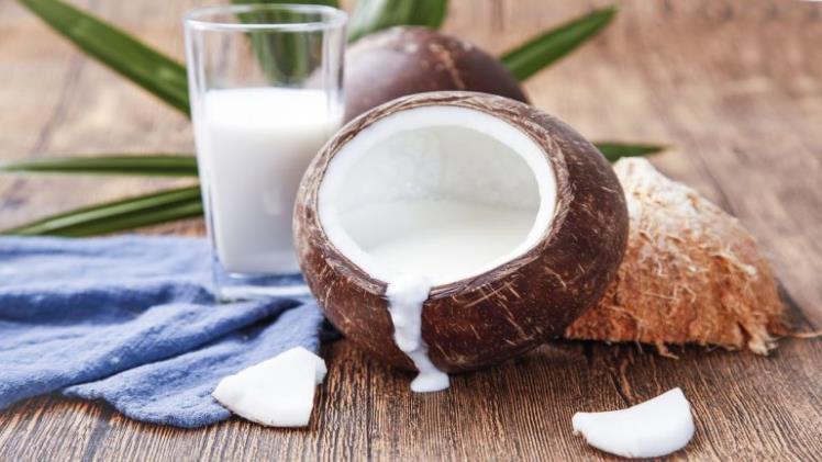 Coconut Bar Merchandise & The Well being Advantages They Provide